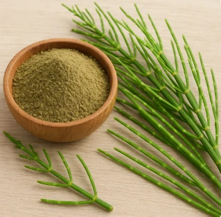 Derma Essential Ingredient Horsetail Extract